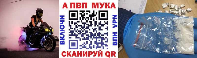 блэк спрут tor  Гай  Alfa_PVP крисы CK  сколько стоит 