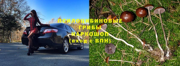 гашик Баксан