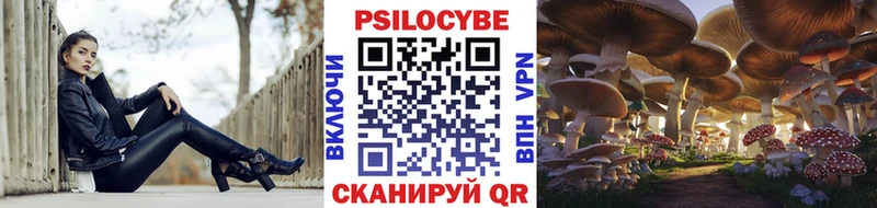 мега Гай Галлюциногенные грибы мицелий