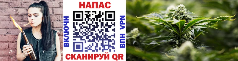 цена   Гай  Канабис LSD WEED 